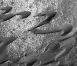 A field of sand dunes in the Nili Patera region is drifting toward the lower left, as indicated by the dunes' shapes, which scientists call a barchan. The dunes' dark tone also shows that the sand is free of dust, therefore the dunes are actively moving. The view covers an area 2.1 kilometers (1.3 miles) wide. (NASA/JPL-Caltech/Malin Space Science Systems)