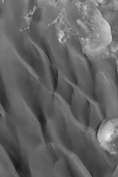 The steepest slopes on each dune face toward the bottom/lower left of the image. This indicates that the dominant winds came from the north (top of the image). This picture covers an area 3 km (1.9 mi) wide and is lit by sunlight from the lower left. (NASA/JPL-Caltech/Malin Space Science Systems)