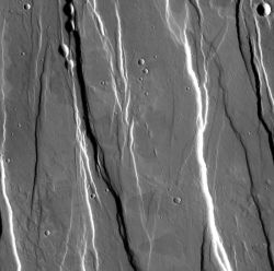Roughly parallel faults scar the southern flank of Alba Mons, a large volcano. The faulting probably happened as the volcano collapsed into the empty magma chamber beneath the surface. Geologists call the raised parts horsts and the dropped-down sections grabens. The small pits at the top of the image include both collapse pits and impact craters. The collapse pits lie along the faults. (NASA/JPL-Caltech/Arizona State University)